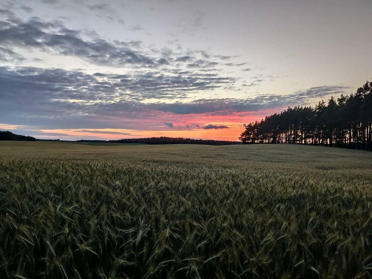 Stawy U Sikory - Dom Rybak - Agroturystyka I Lowisko Nowa Wies  Exterior foto